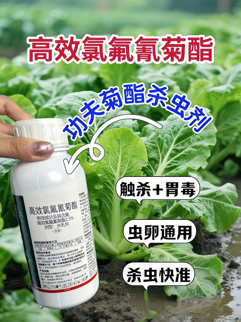 图木舒克代生中心:农药对供卵代生妈妈的危害